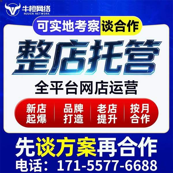四平电商代运营