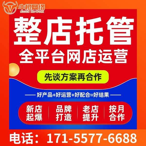 四平电商代运营